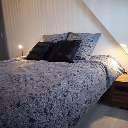 La Mulhousienne F3 Centre Ville Μυλούζη Εξωτερικό φωτογραφία