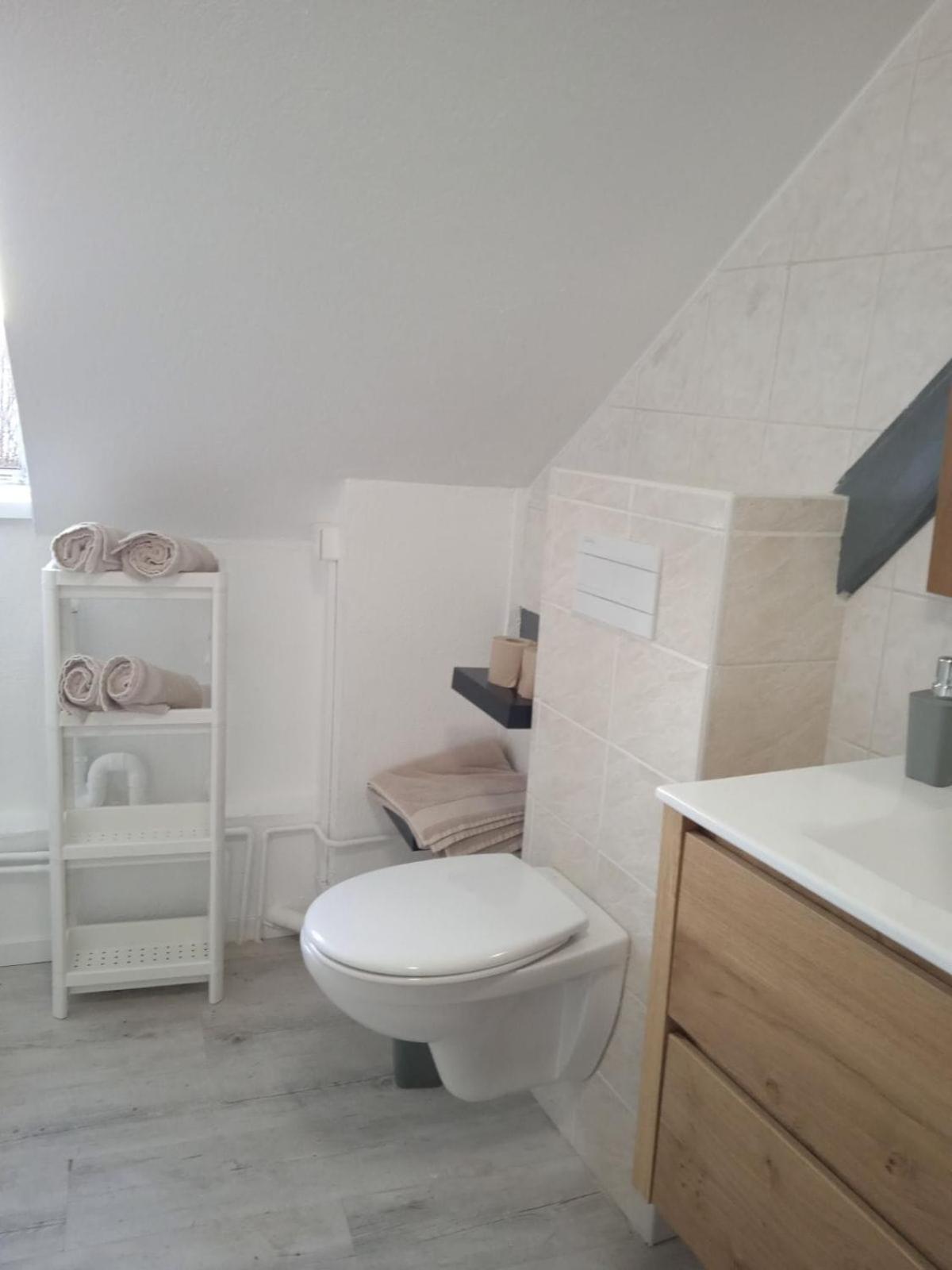 La Mulhousienne F3 Centre Ville Μυλούζη Εξωτερικό φωτογραφία